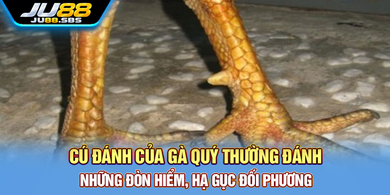 Vảy gà: tên gọi dân gian và giới hạn của cách suy đoán — hình minh họa