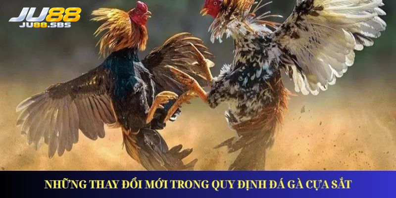 Đá gà cựa sắt: thuật ngữ và bối cảnh cần phân biệt — hình minh họa